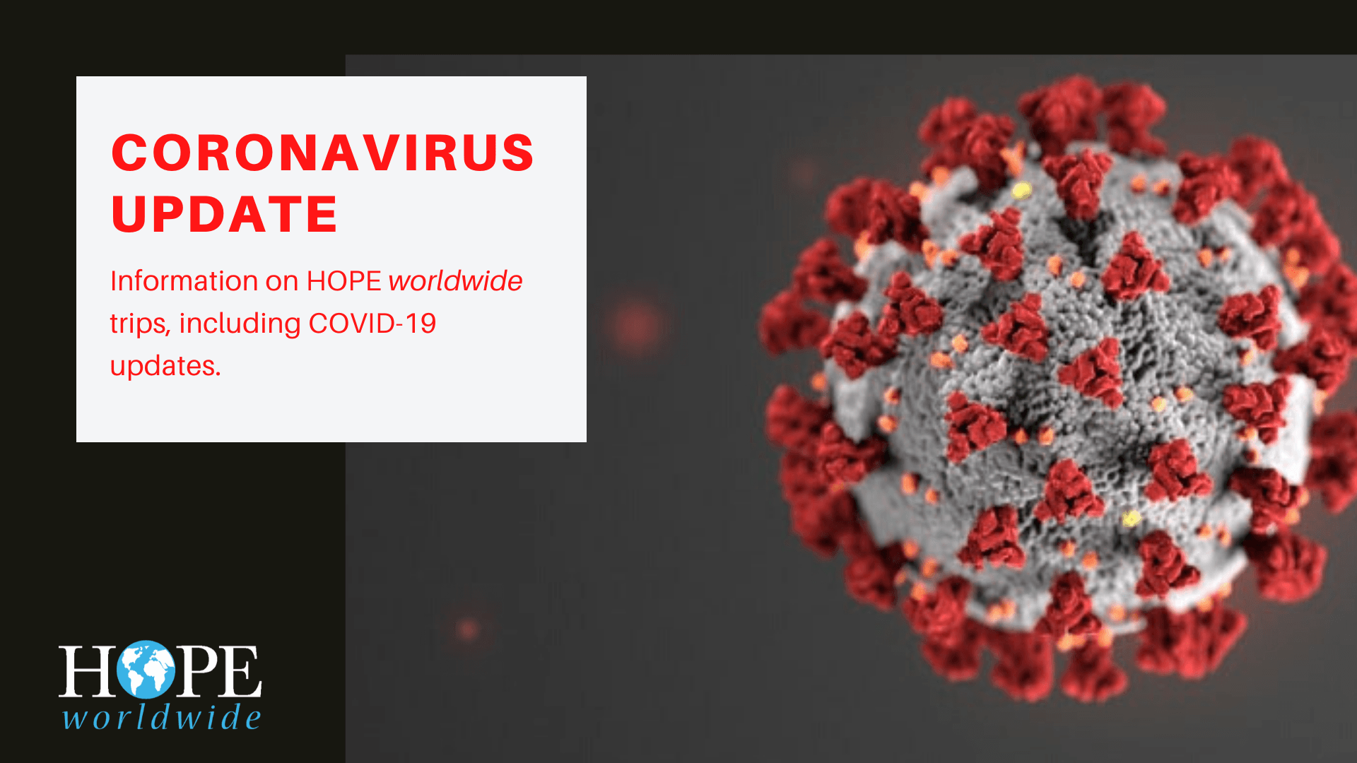 coronavirus updates