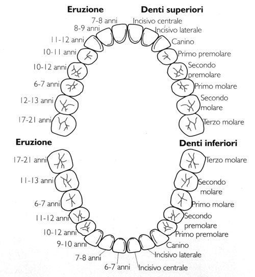 Quando escono e cadono i denti da latte