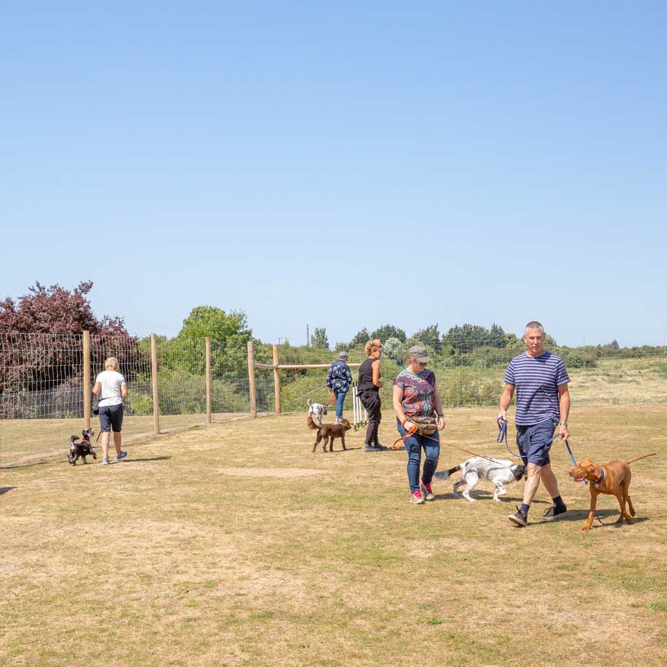 Dog Training ClassesBarehams Boarding & Day Care Centre Orsett Grays