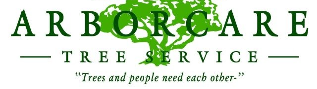 Tree Care Maintenance Succasunna Nj Arborcare Tree Service