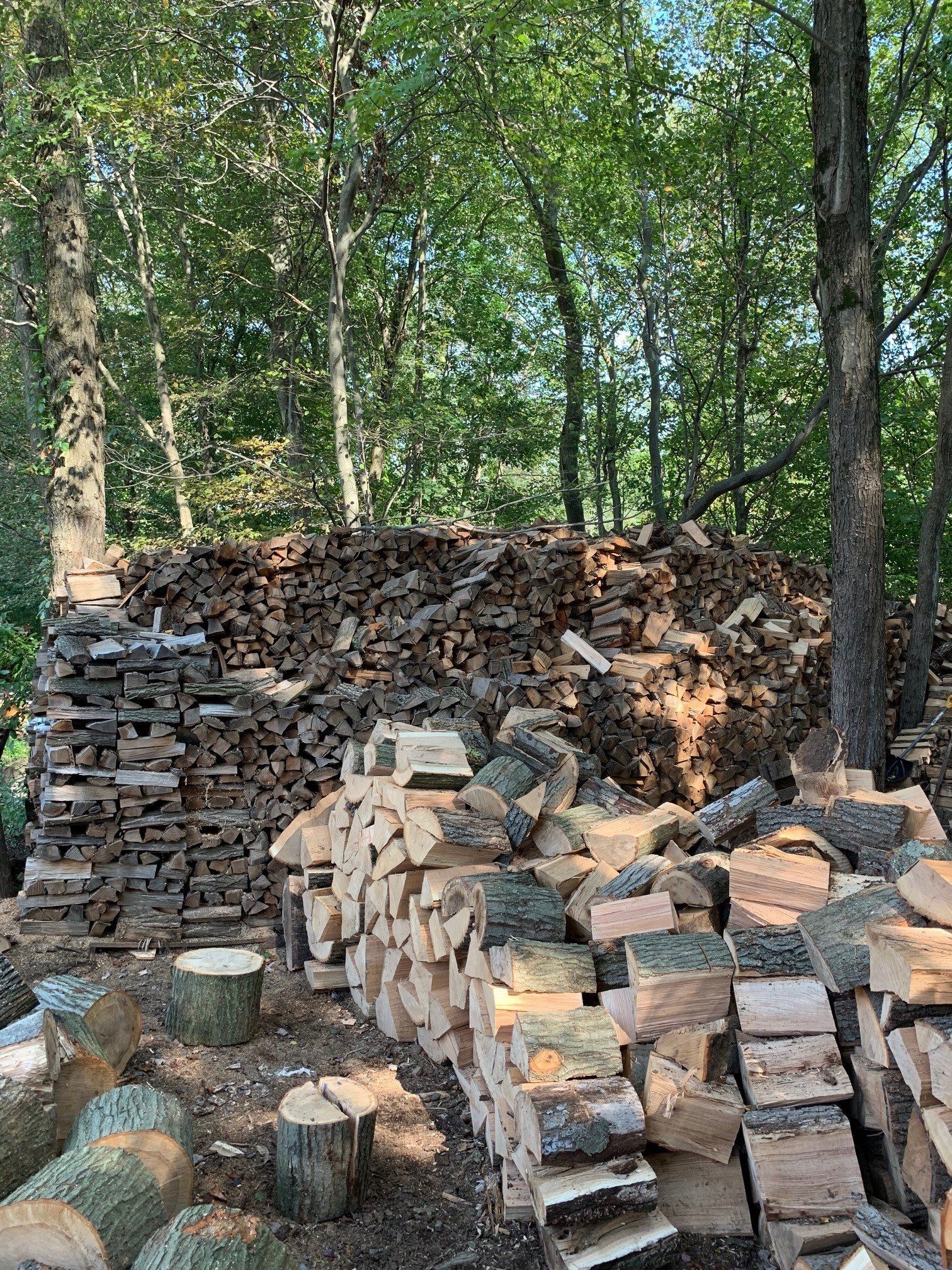 Seasoned Firewood Succasunna, NJ Arborcare Tree Service
