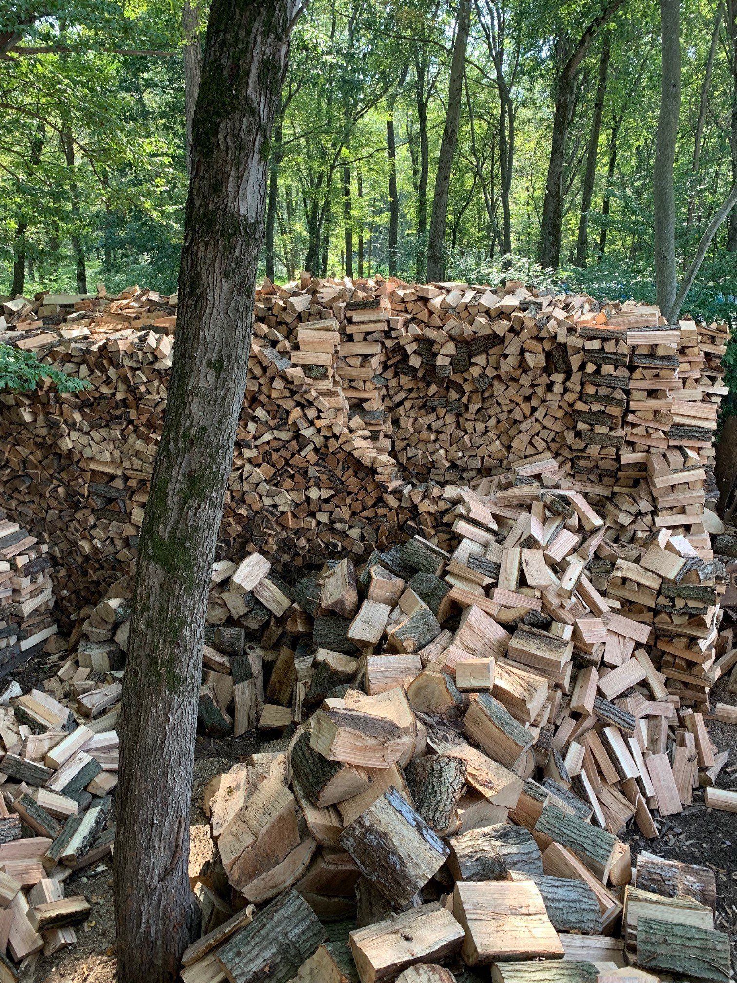 Seasoned Firewood Succasunna, NJ Arborcare Tree Service
