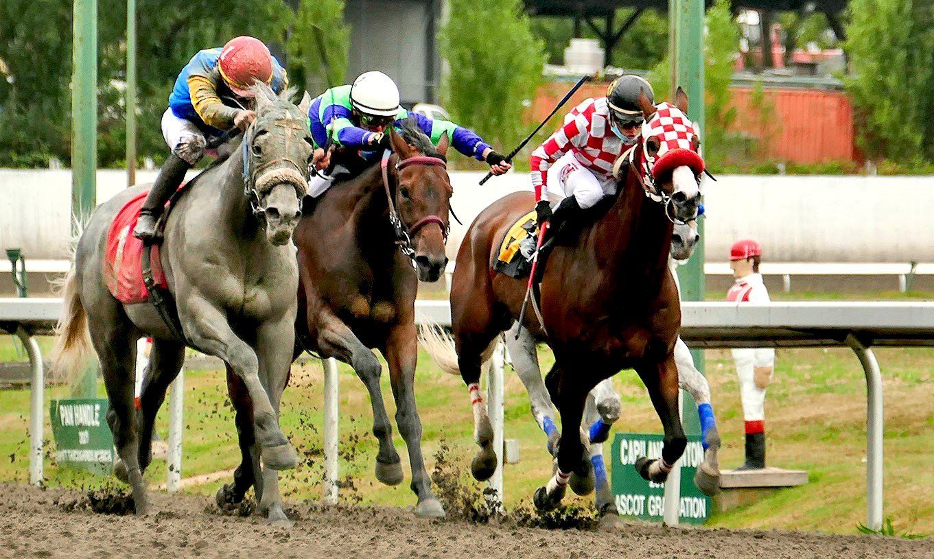 Canadian Thoroughbred Horse Society British Columbia Division