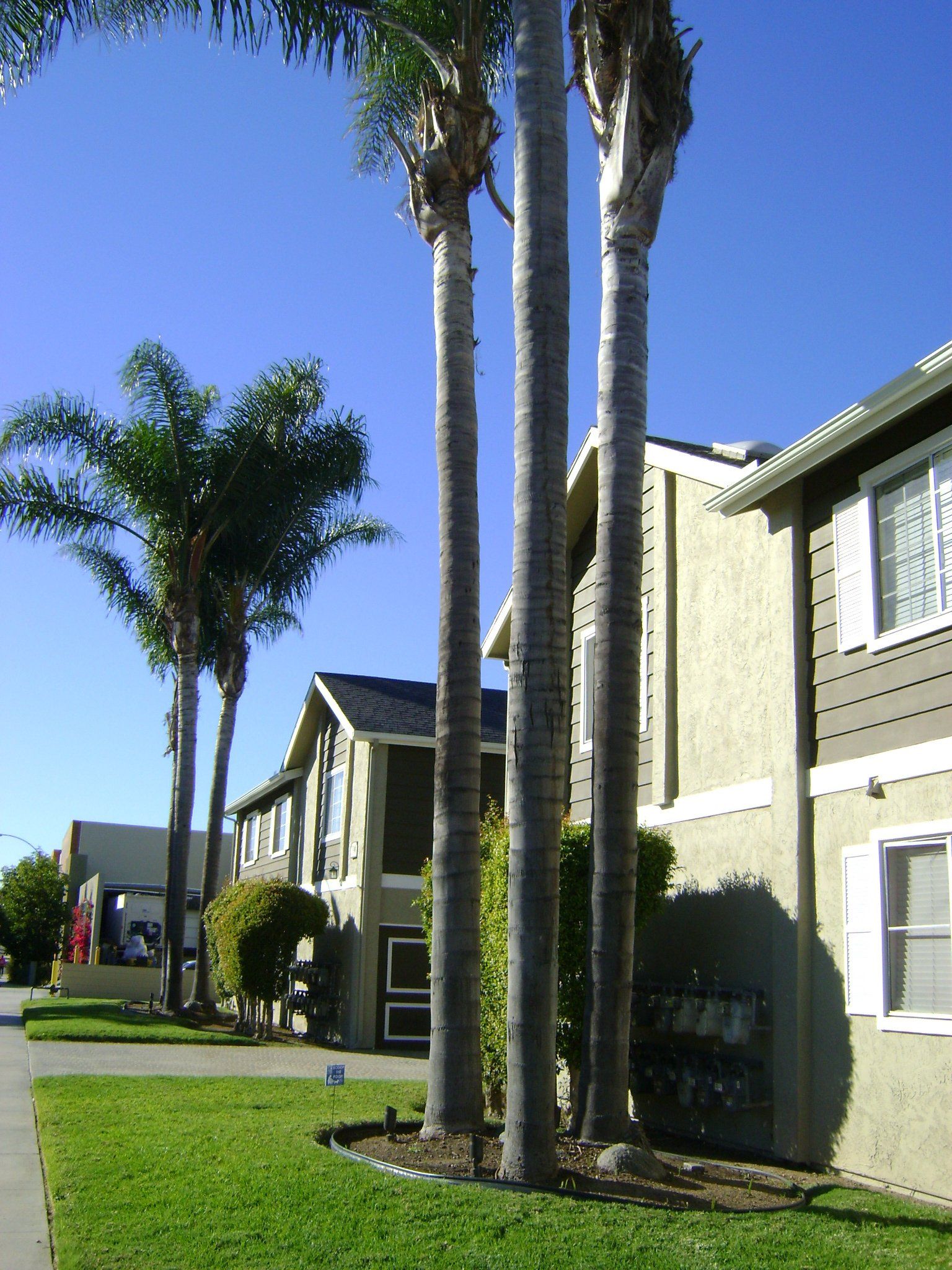 Mission Hills Gardens