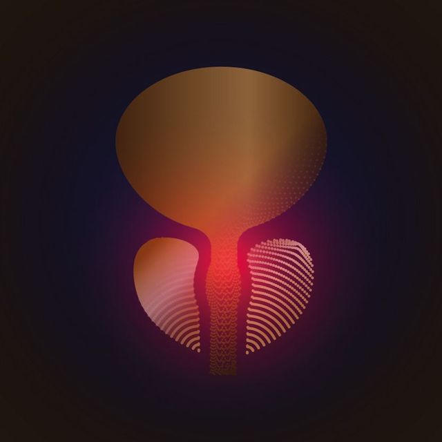 dieta specifica per ipertrofia prostatica dieta specifica per ipertrofia prostatica
