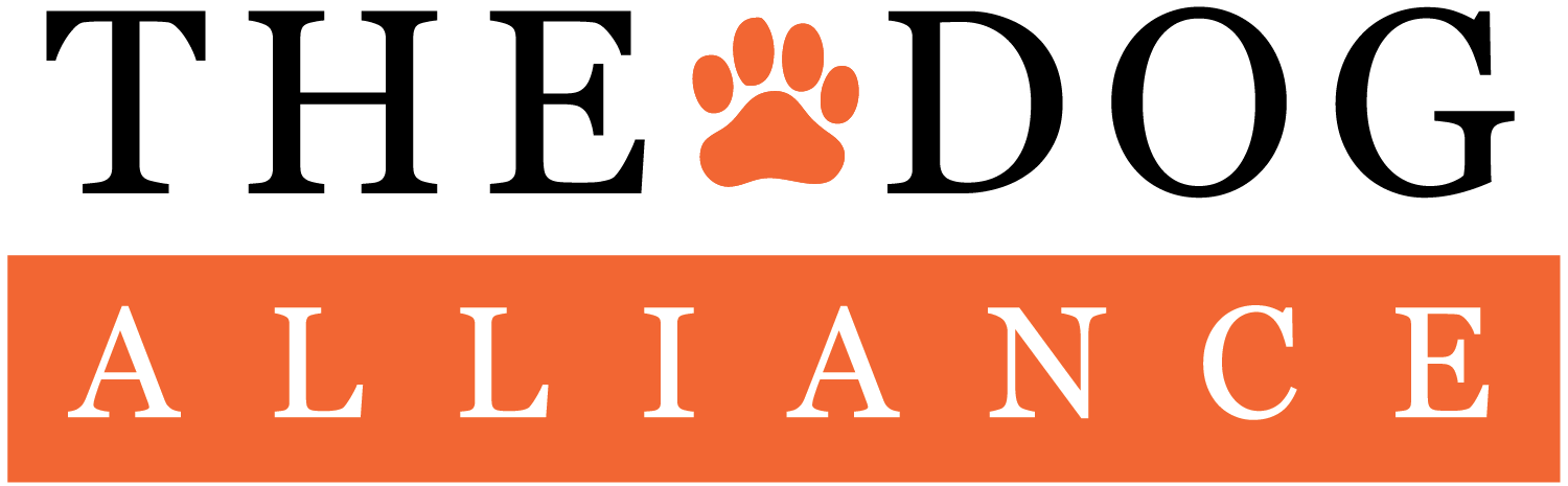 difference between english golden retriever and american golden retriever