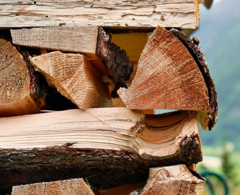 Tree services available in the Yorke Peninsula