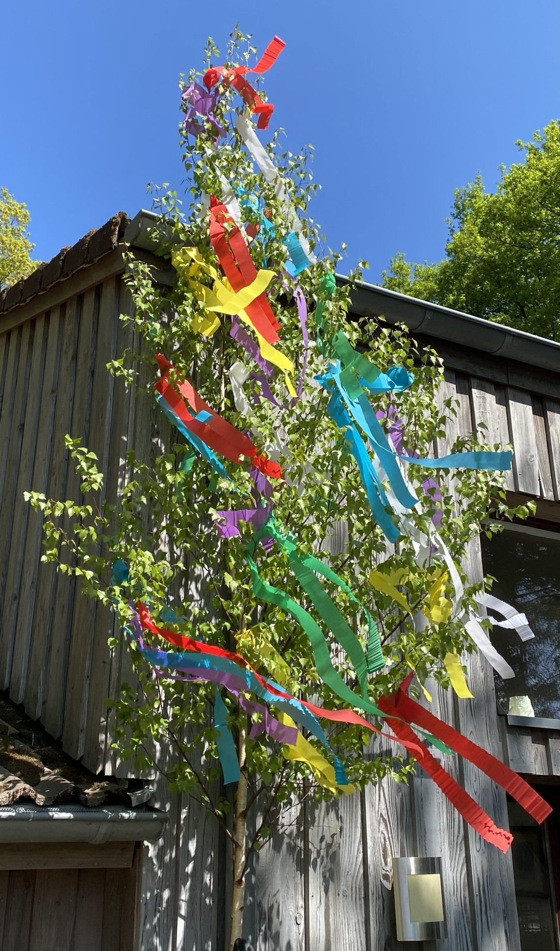 Richtfest Kranz Oder Baum