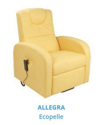 vendita poltrone ecopelle Farepole La Spezia