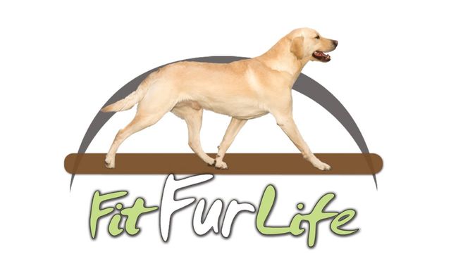 fit fur life treadmill for sale