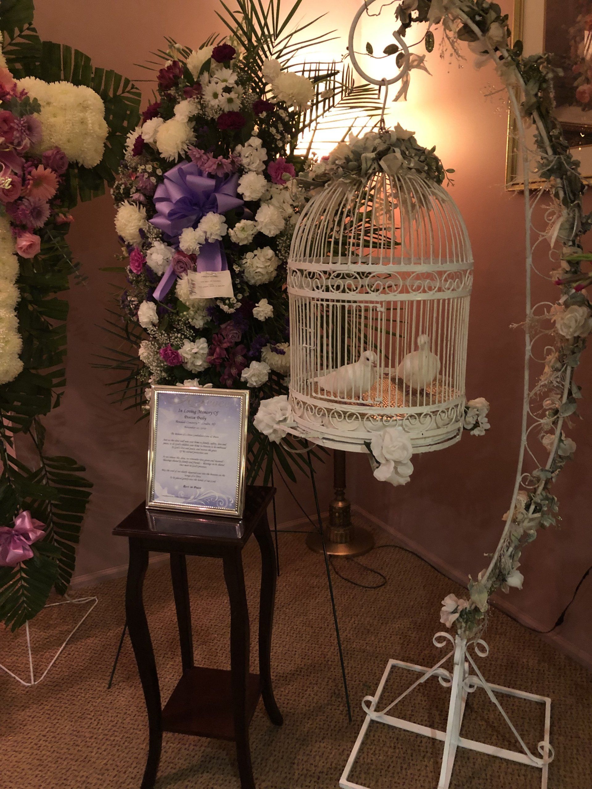 White Dove Release for a Wedding or Funeral Rent Wedding Doves in NJ