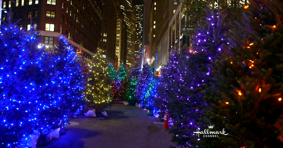 CHRISTMAS WORLD RECORDS World Record Academy