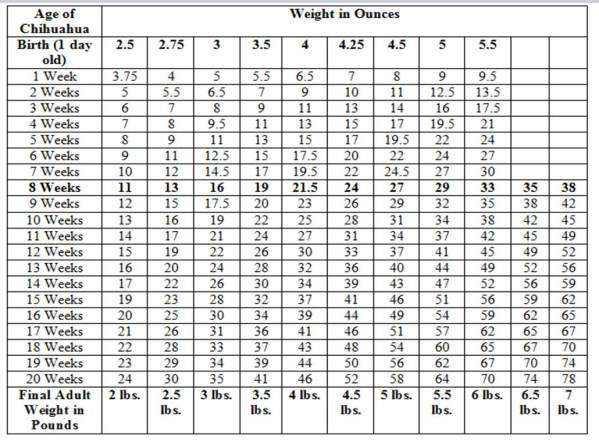 dog years chart by size