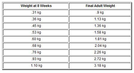 Chihuahua Growth Chart Metric Units