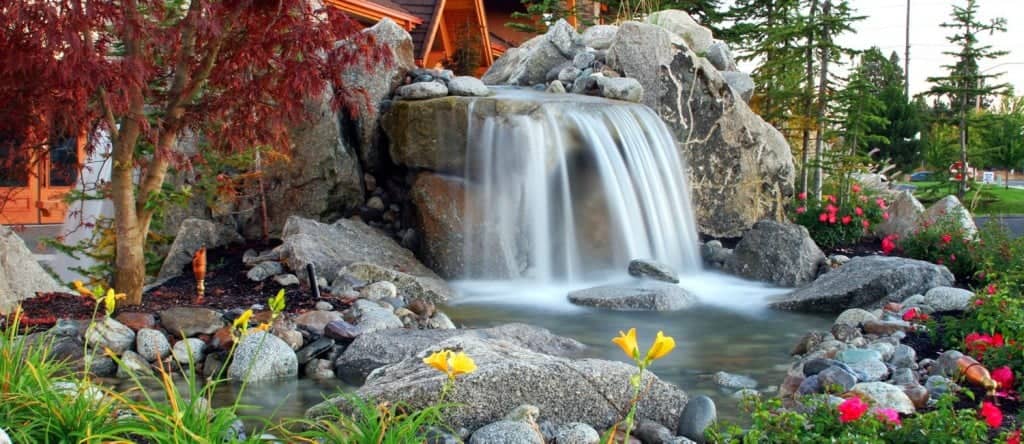 NO-MOW LANDSCAPE IDEAS FOR THOSE WHO JUST CAN'T DO YARD WORK NO-MOW LANDSCAPE IDEAS FOR THOSE WHO JUST CAN'T DO YARD WORK on No Mow Backyard Ideas id=85962