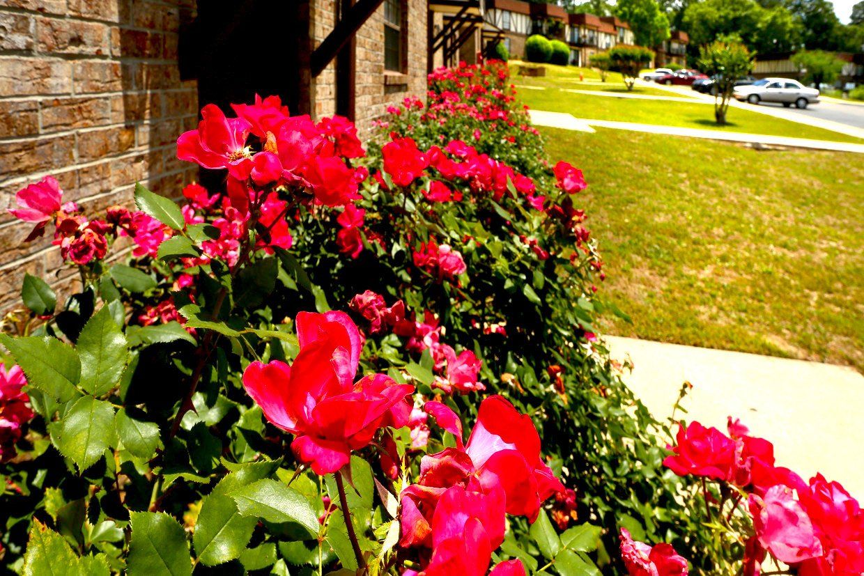 Grove at Westgate Mulberry Properties, LLC