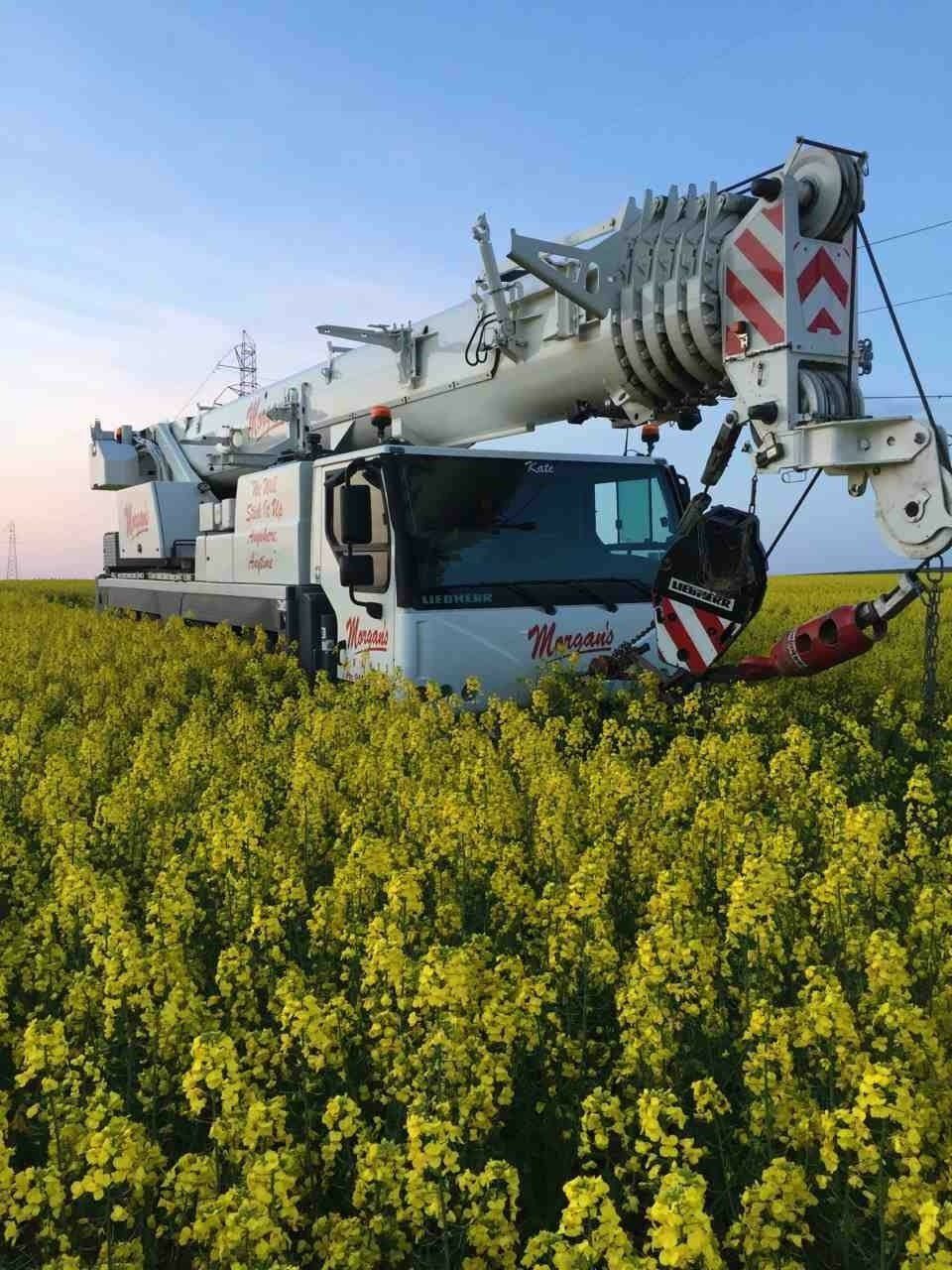 Crane Hire Adelaide Adelaide Crane Hire SA