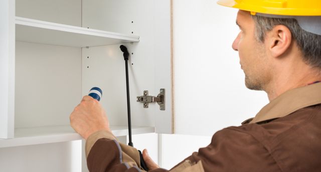 Delaney Pest Control La Crosse Wi
