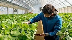 Agroalimentare ed industriale