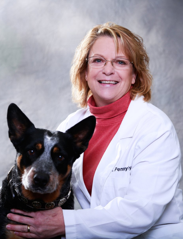 Dakota Hills Veterinary Clinic