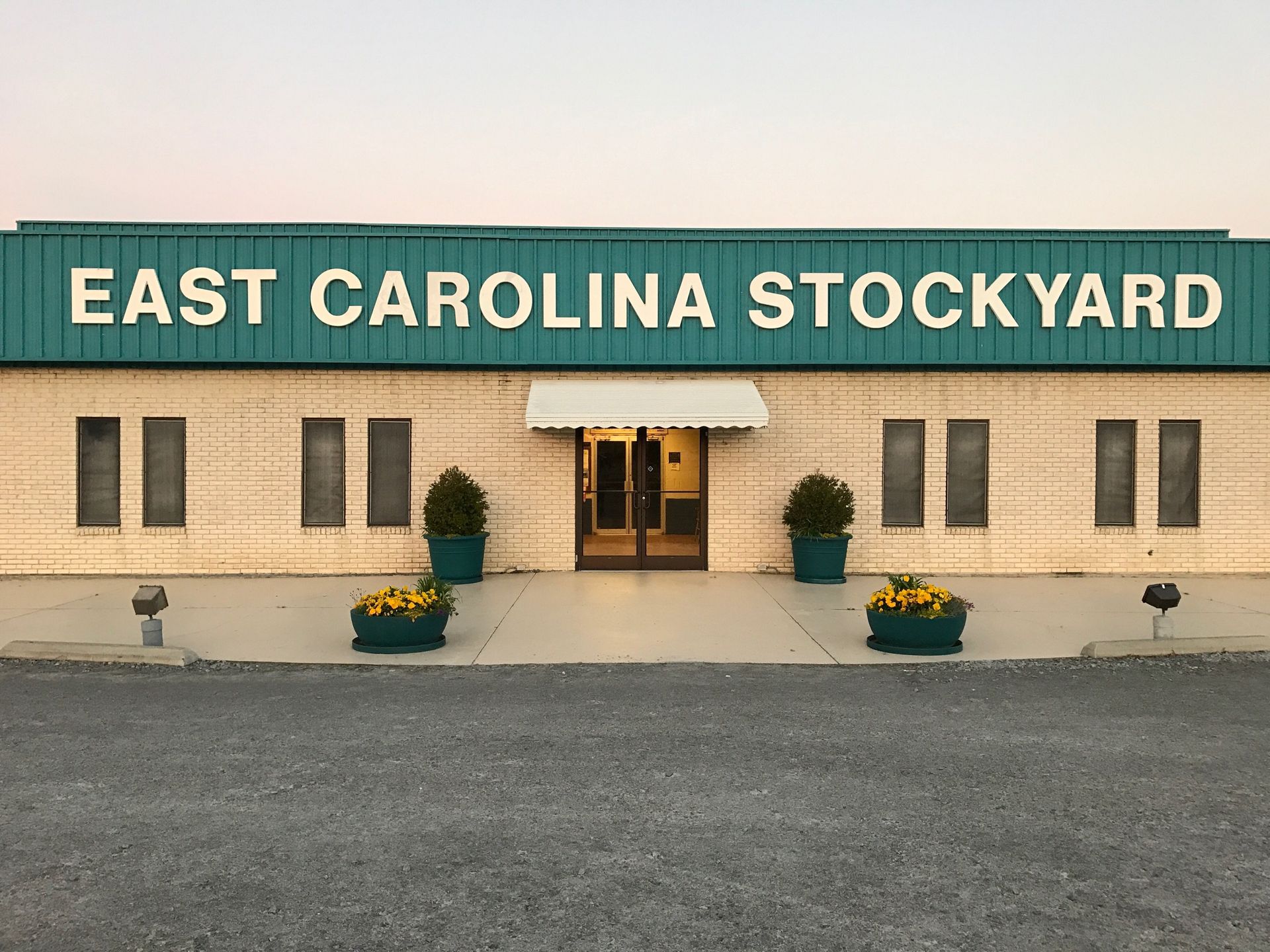 Cattle For Sale, North Carolina Cattle Prices, Pitt County