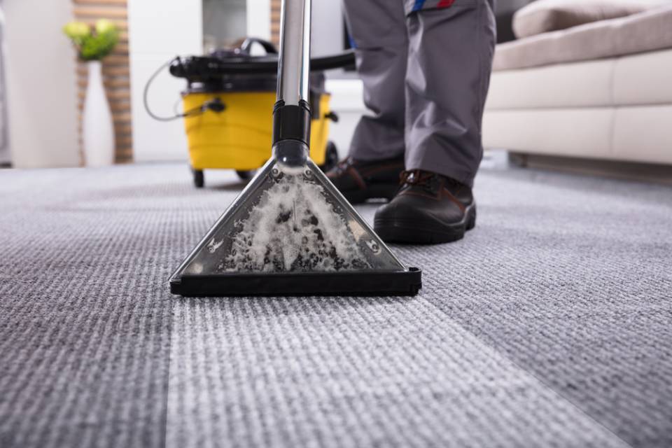 Carpet Cleaners for Domestic & Commercial Cleaning | Warrnambool