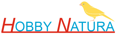 Gabbie Per Uccelli Partinico Hobby Natura Di Finazzo Filippo