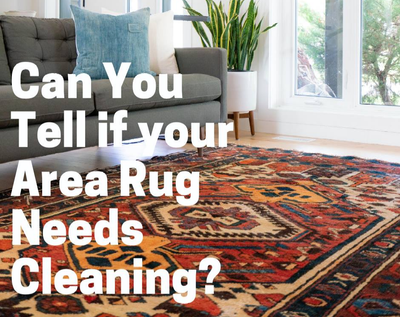 Can you tell if your Area Rug needs Cleaning?