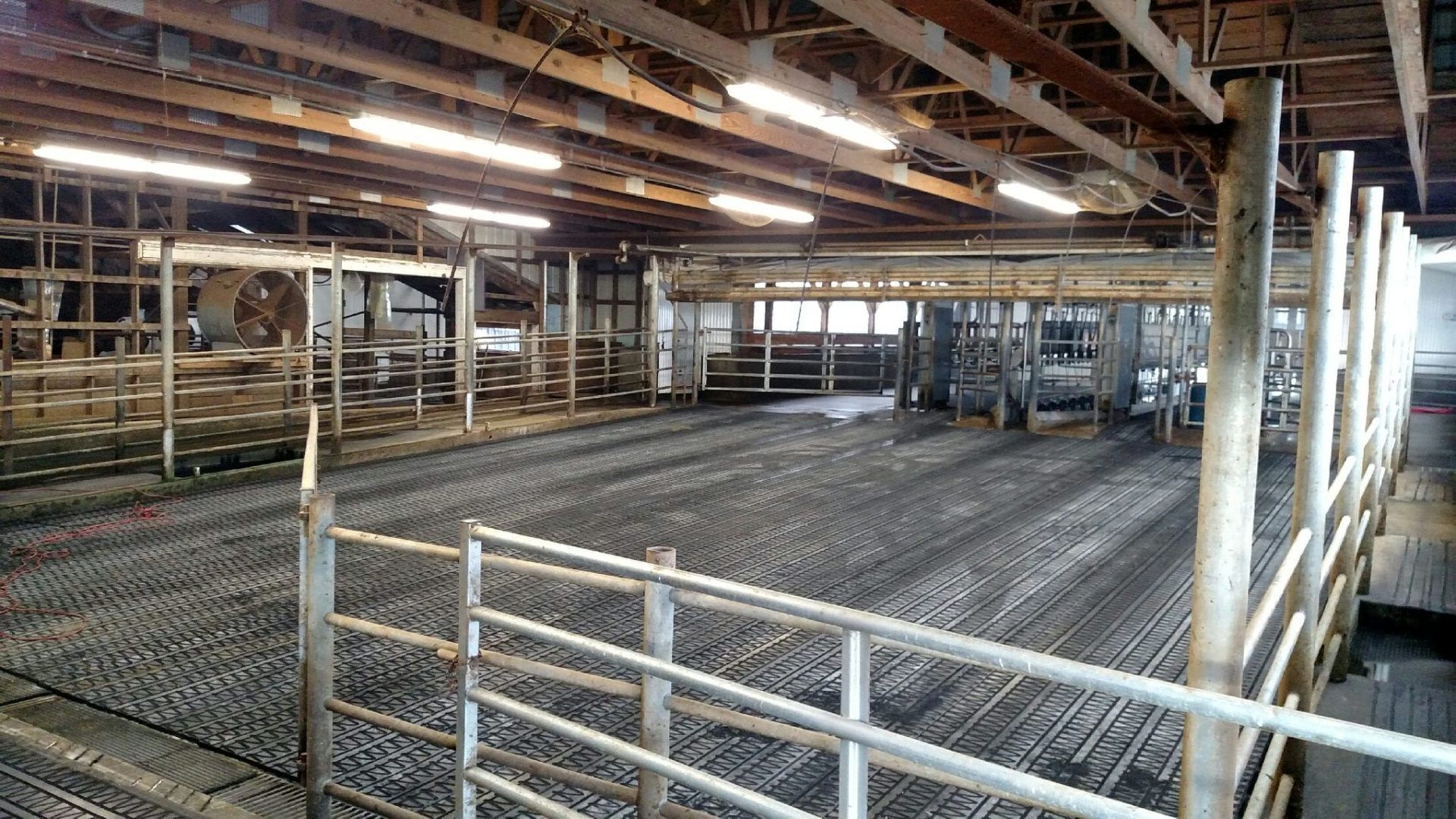 Gallery Cow Mats Grooved Rubber Flooring Gabel Belting Inc