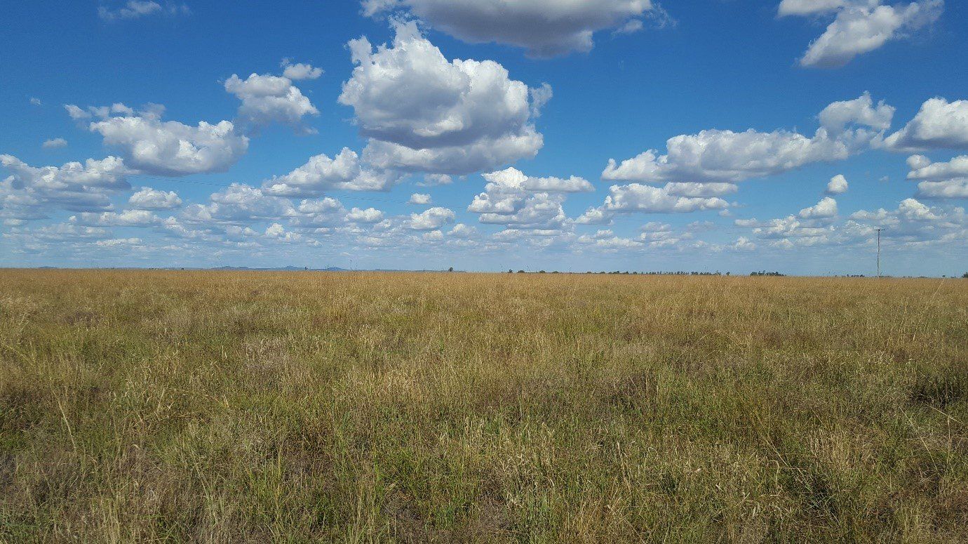 Environment Project | Southern Queensland Landscapes