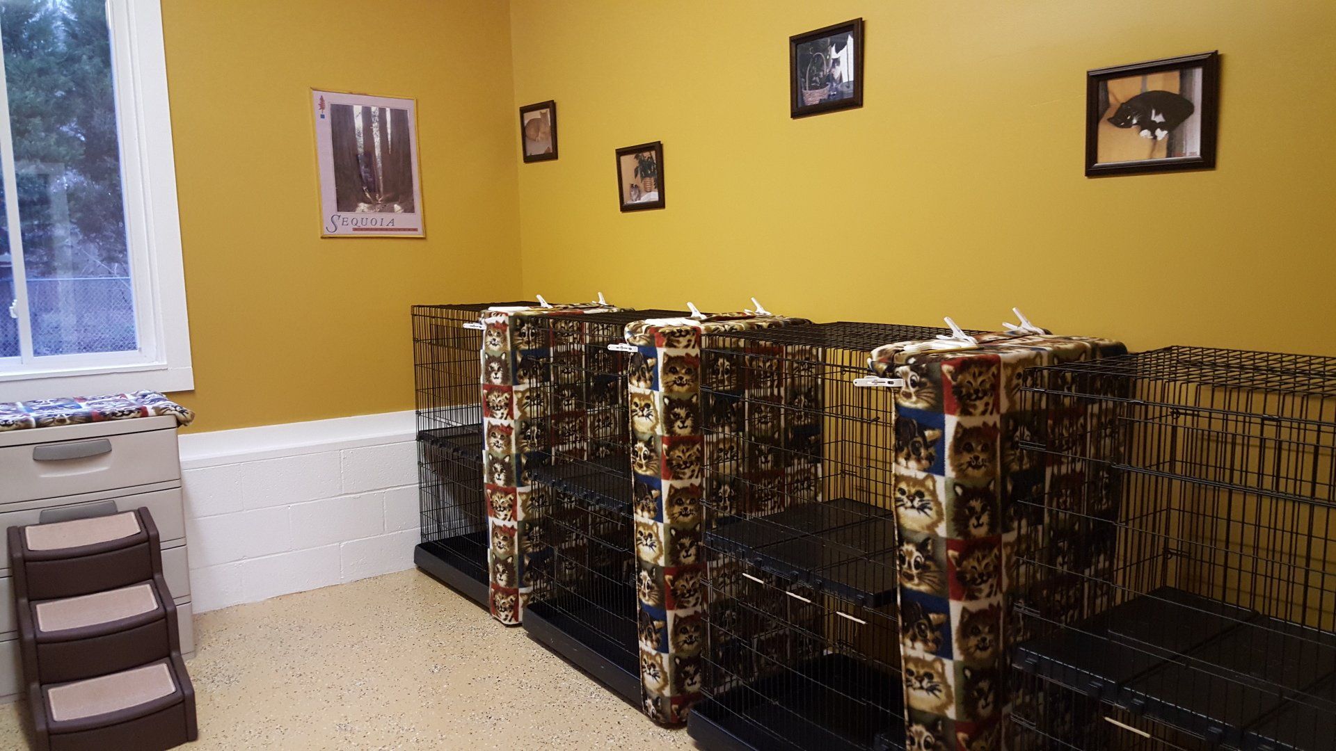Paws & Claws Grooming Salon and Kennels Greenville, NC Gallery