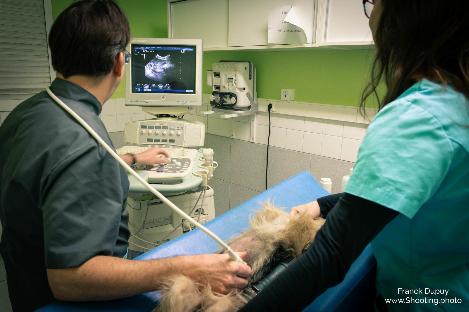 Clinique Vétérinaire De L'arche De Bois Photos
