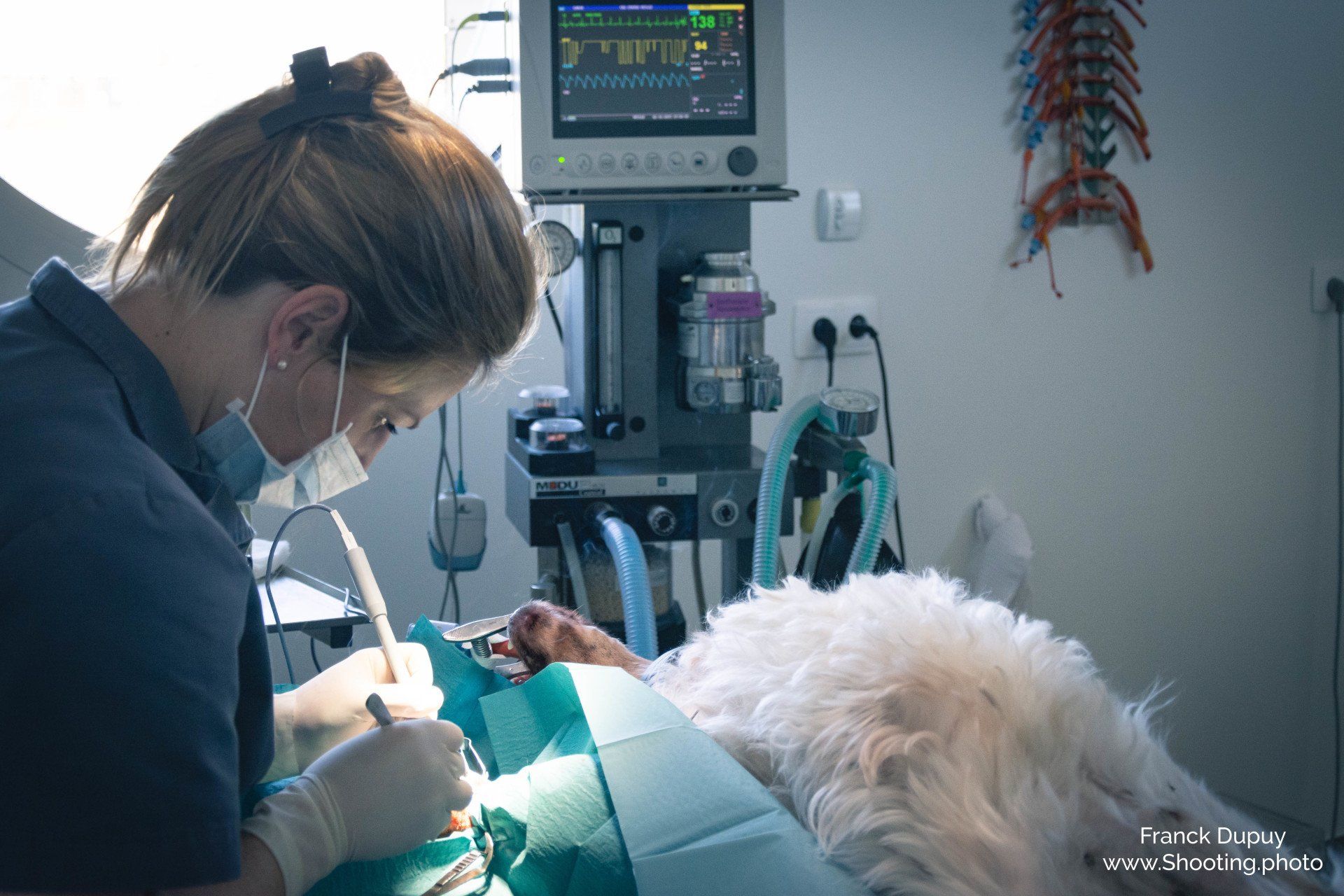 Clinique Vétérinaire De L'arche De Bois Photos
