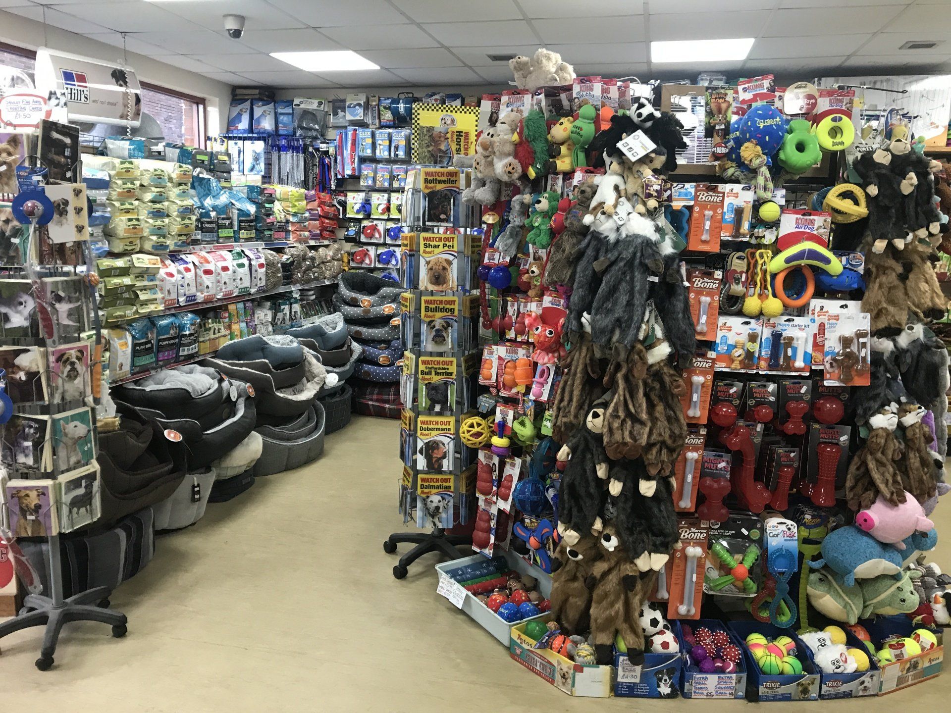 Pet store | Troon Pets & Aquaria