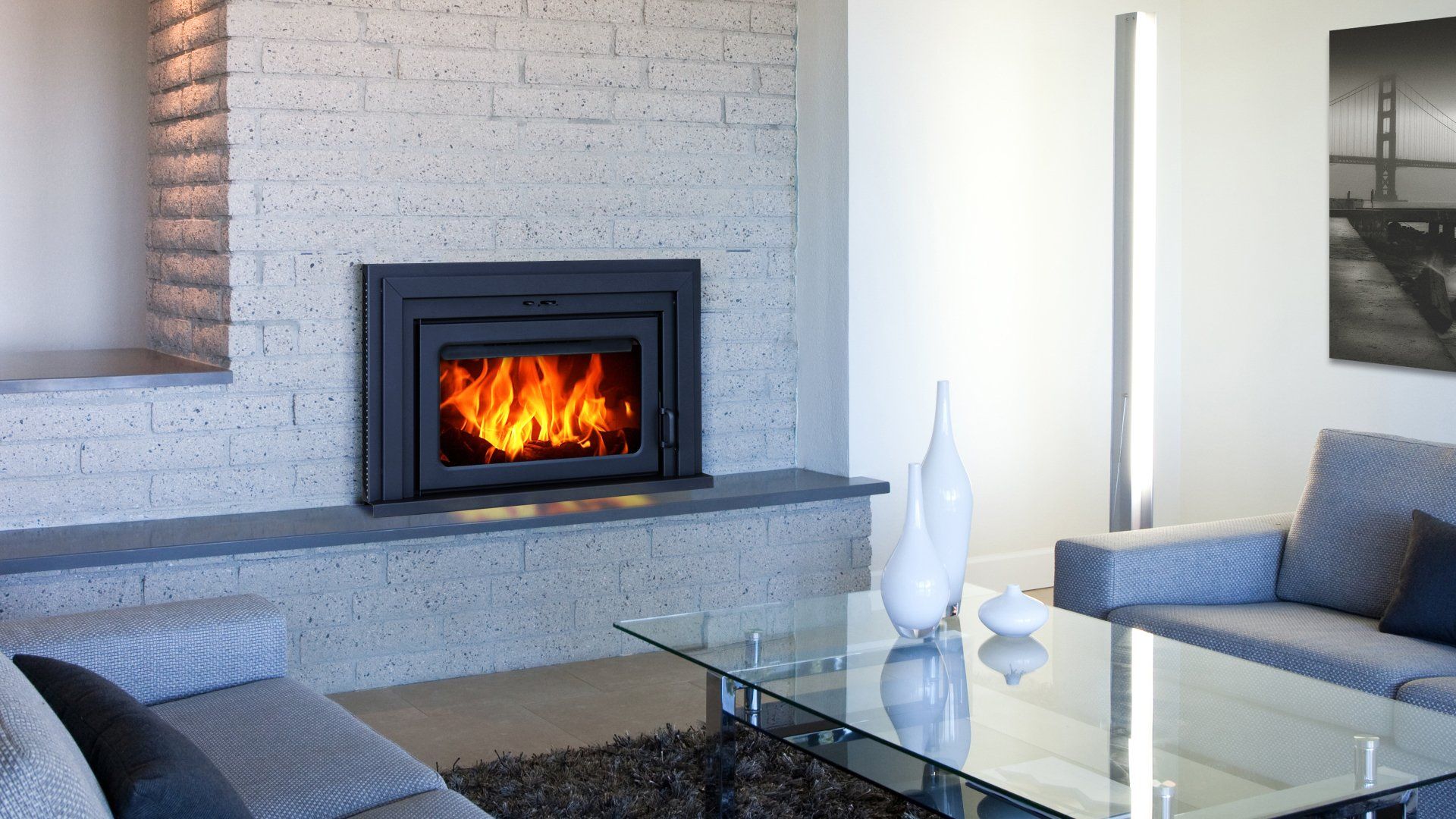 Fireplace Insert Sales & Service Olympia, Washington Northwest