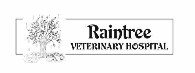 Veterinary Cardiology And Chemotherapy Freehold Nj Raintree