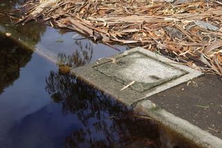 clogged stormdrain