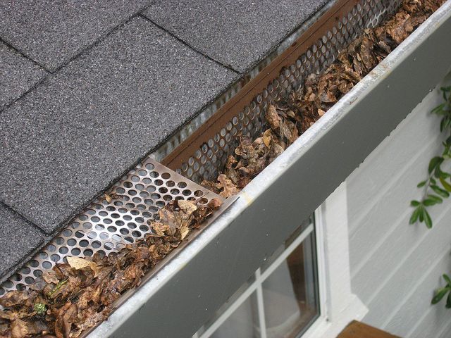 Gutter Screens In The Boise And Nampa Idaho Area