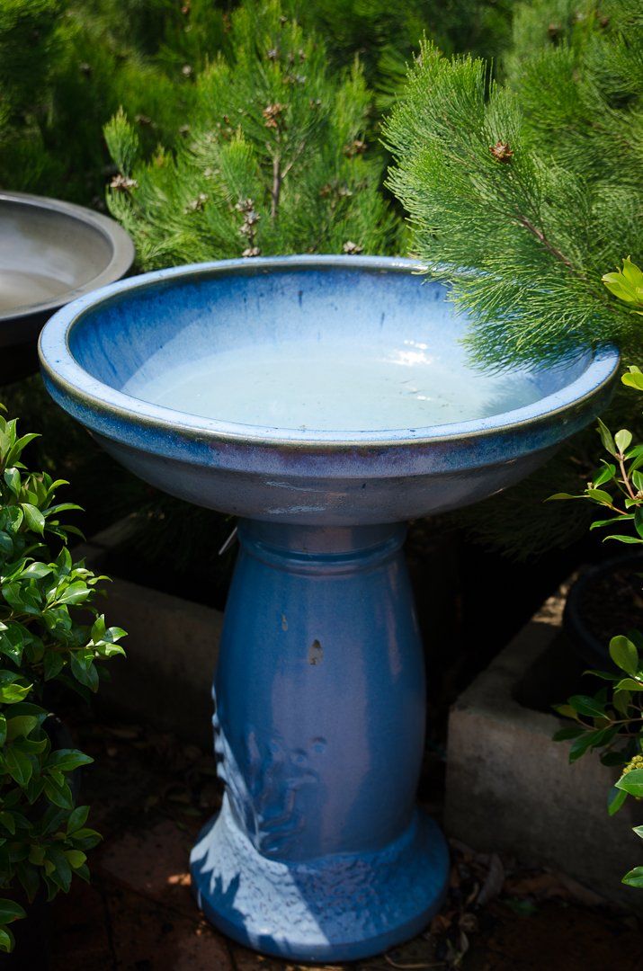 Unique Water Features & Pumps | Timbara Garden Centre