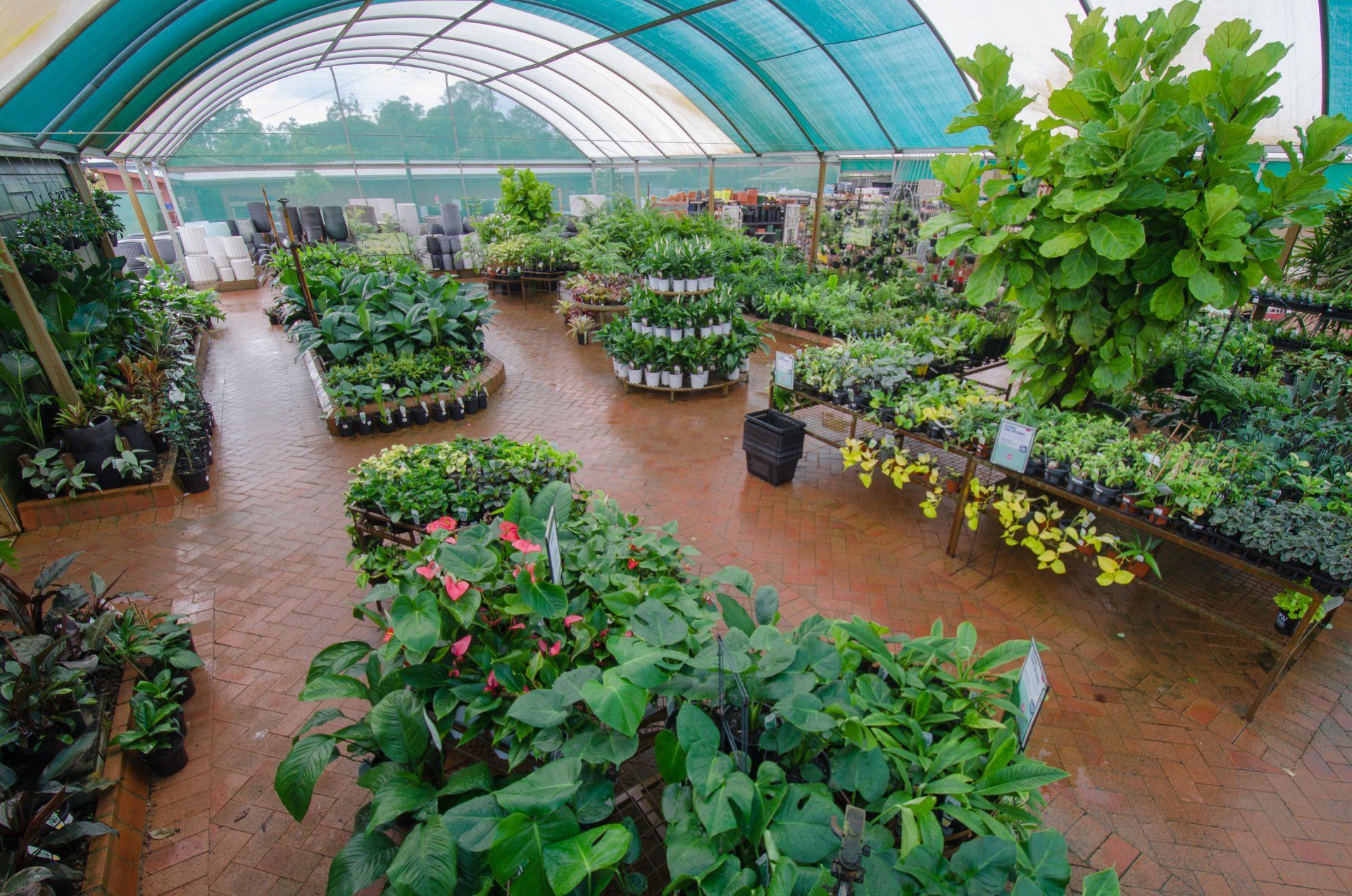 Garden Nursery & Shop in Redlands, QLD Timbara Garden Centre