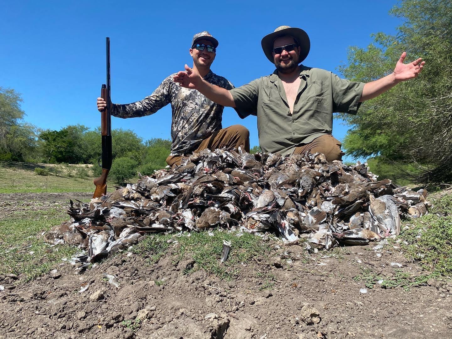 Mexico Dove Hunting Outfitter Guided Hunts Loma Colorada   0 1920w 