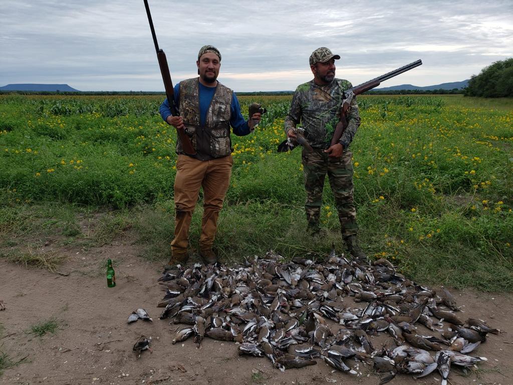 Mexico Dove Hunting Outfitter Guided Hunts Loma Colorada   IMG 20200320 WA0012 1920w 