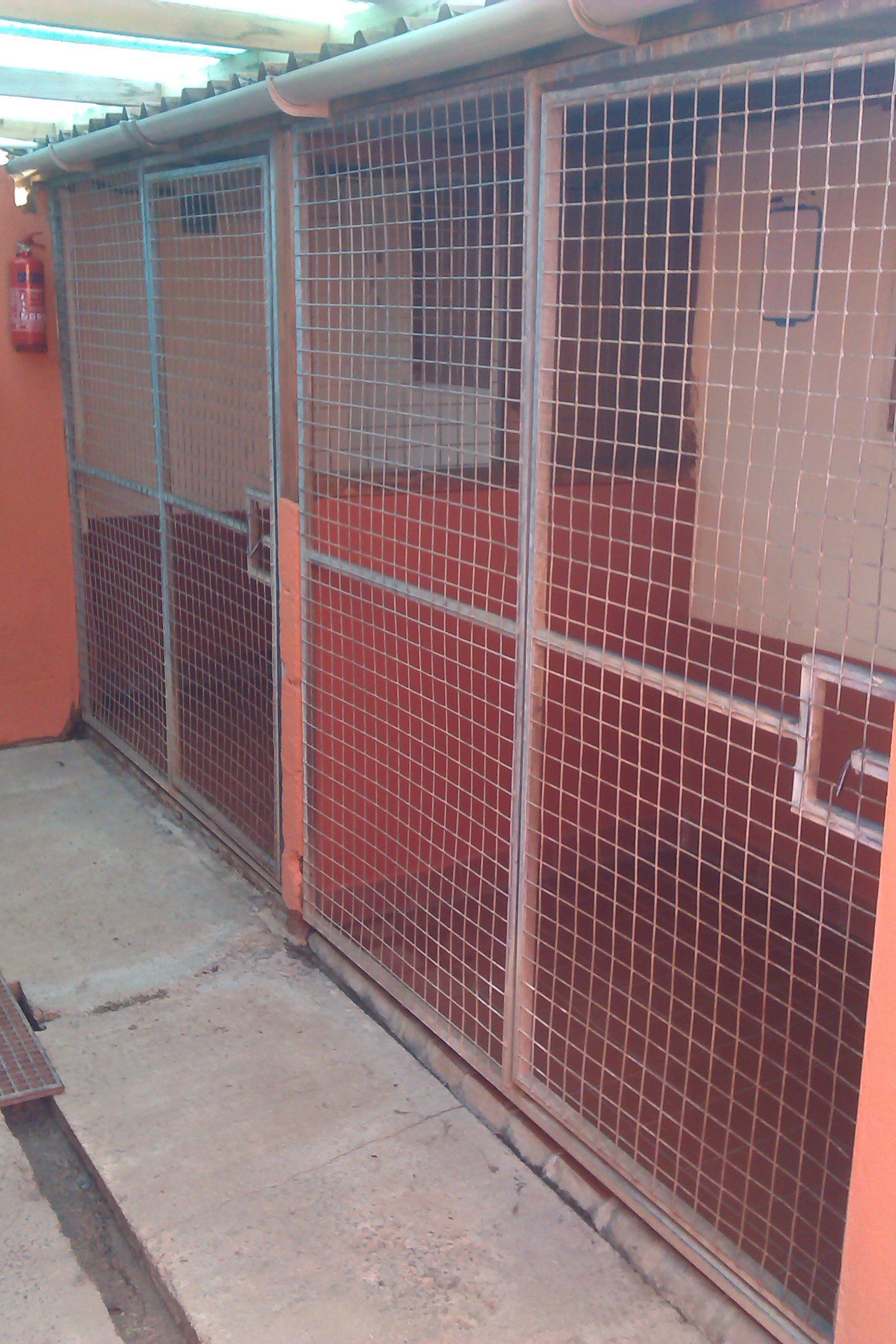 Pet Kennel & Cattery South Wales Springfield Boarding Kennels