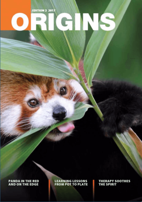 Red Panda on the cover of Origins Ed2 2017