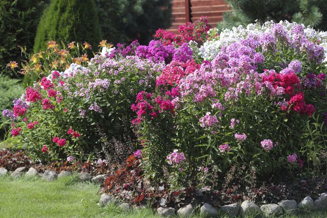 Frank S Perennial Border Winston Salem Nc Garden Center