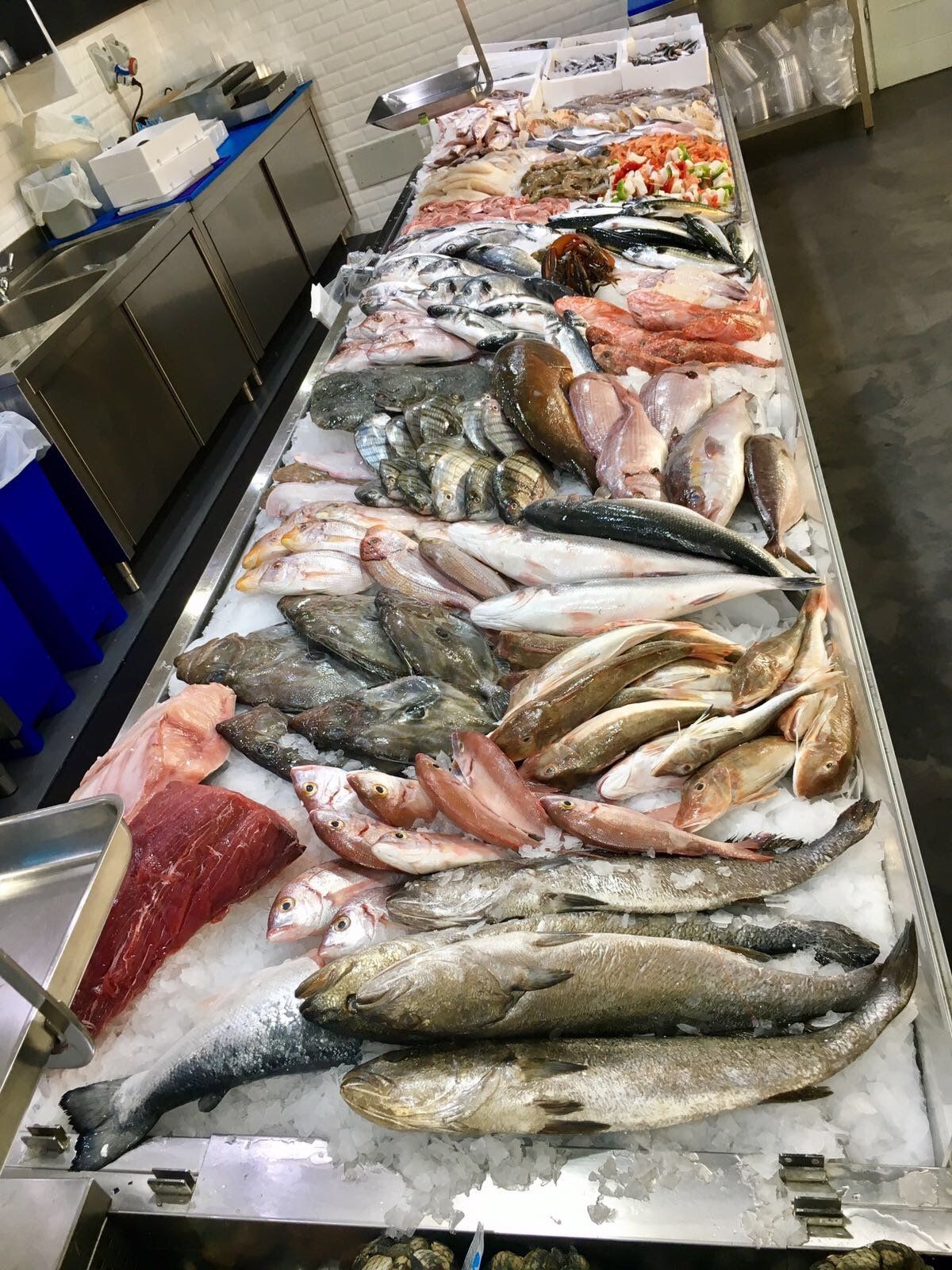 Vendita di pesce e fresco e surgelato | Santa Teresa Gallura – Palau ...