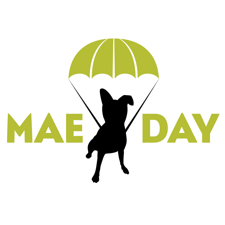 MaeDay Rescue | Los Angeles Dog Rescue