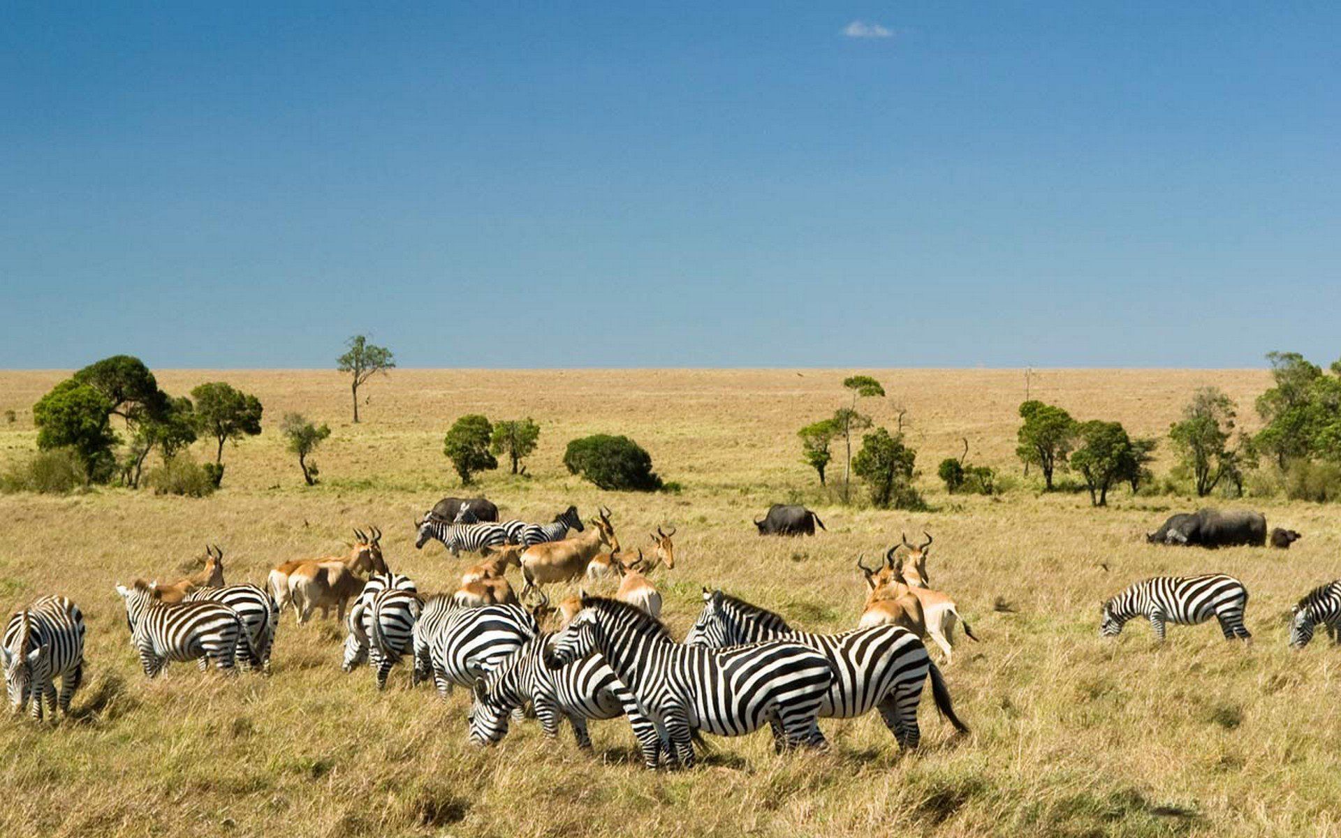 East Africa Incentives - Masai Mara Experience Itinerary