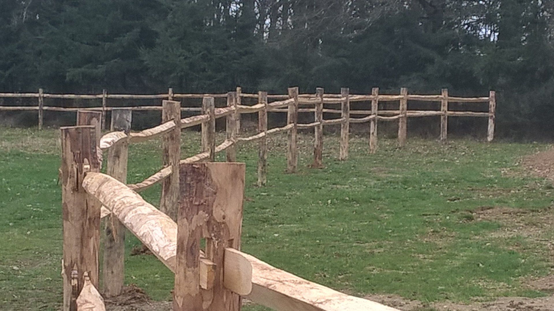 Clôture bois du Châtaignier Woods Ambiance