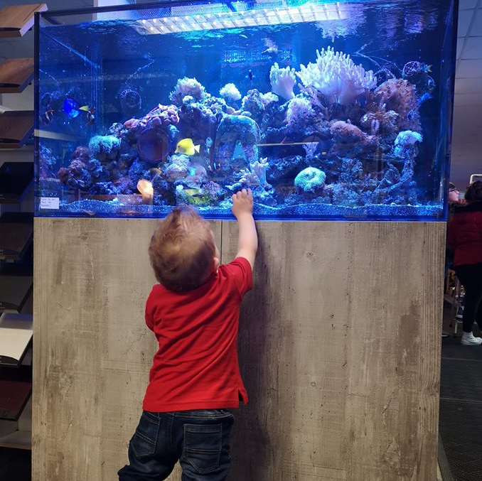 aquarium warehouse near me